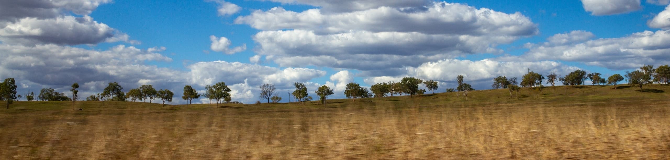Dry grassland and scattered gum trees under a cloudy sky in rural Queensland