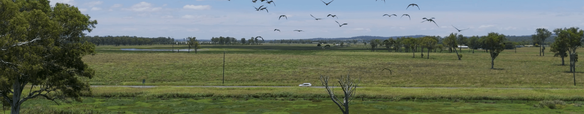 Beaudesert landscape